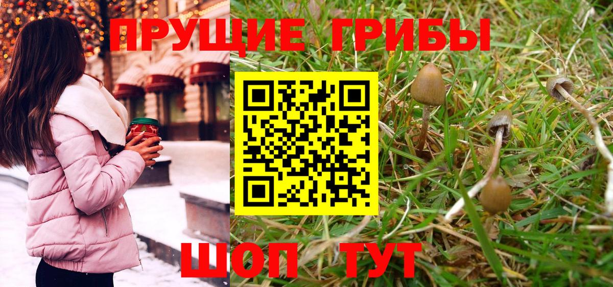 Галлюциногенные грибы мицелий  Вход с VPN  Галлюциногенные грибы Magic Shrooms  Кинешма 