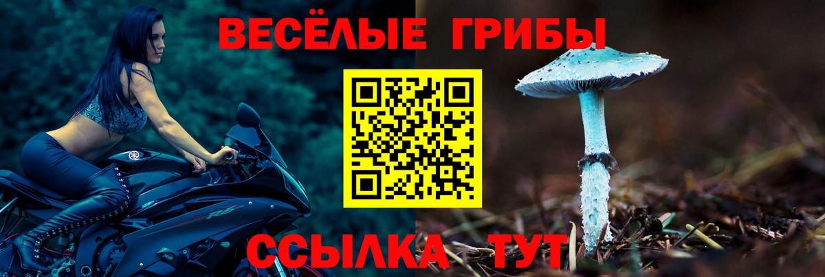 Галлюциногенные грибы Cubensis Кинешма